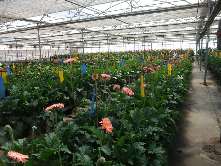 Instalaciones de la empresa Barberet Blanc en Puerto Lumbreras