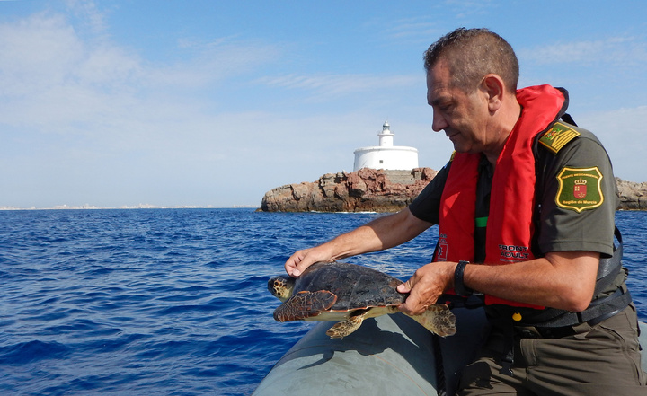 Liberan una tortuga boba junto a las Islas Hormigas tras quedar atrapada en una red