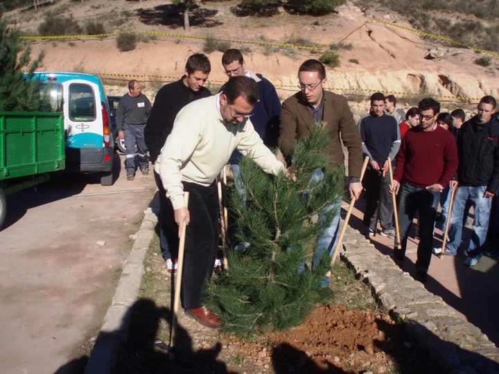 Replantación de árboles de Navidad en El Valle (1)