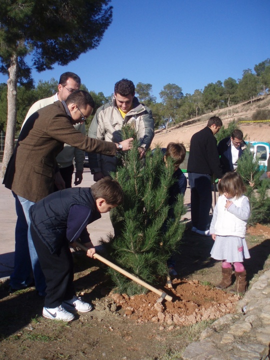 Replantación de árboles de Navidad en El Valle (2)
