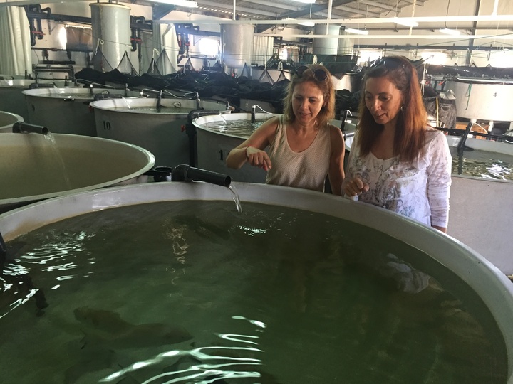 Juana Mulero y Encarna Molina durante su visita a la Estación de Acuicultura Marina del IMIDA, Instituto Murciano de Investigación y Desarrollo Agrario y Alimentario