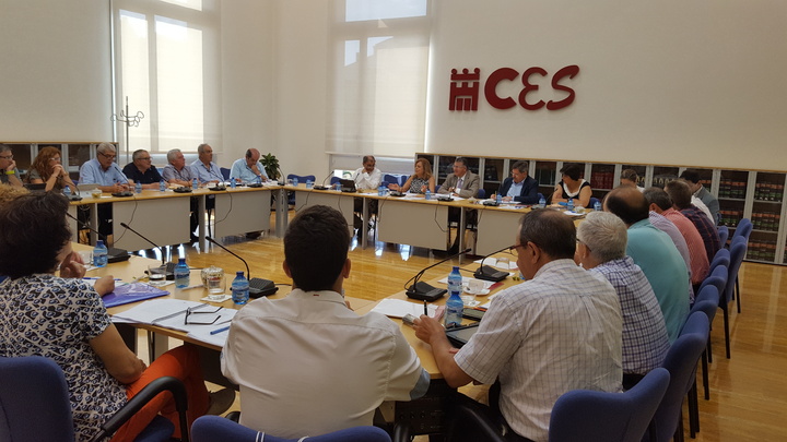 La consejera de Educación y Universidades, María Isabel Sánchez-Mora, asistió al pleno del Consejo Escolar de la Región de Murcia que dio luz verde al plan de trabajo para el curso 2016/17