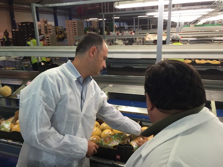 El director del Instituto de Fomento visita la empresa Jimbofresh, especializada en la producción y comercialización del melón