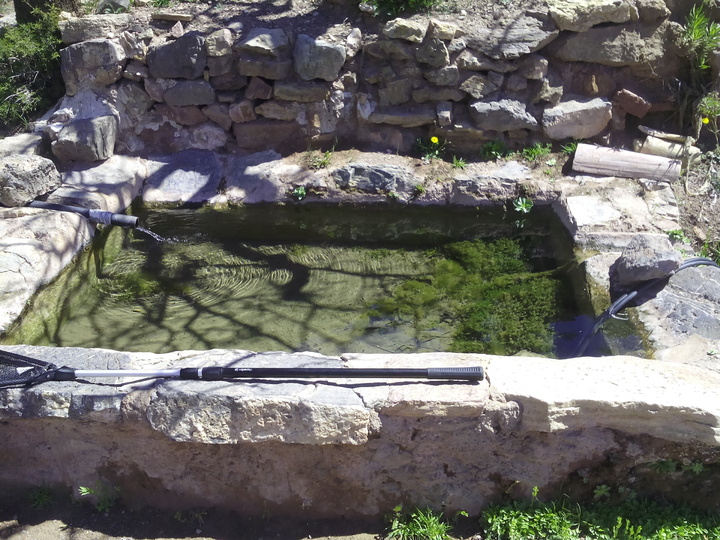 Estrategia para la conservación de anfibios en Sierra Espuña (1)