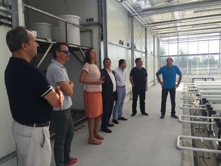 La directora general de Agricultura, Ganadería, Pesca y Acuicultura visita la empresa Tilamur de Lorquí, que produce tilapia y tomates al mismo tiempo ahorrando agua