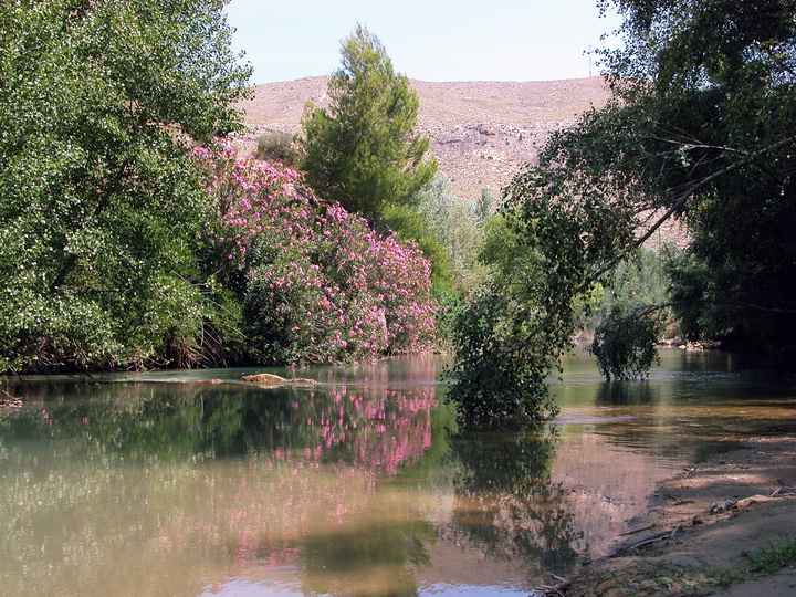 Reserva natural de Cañaverosa