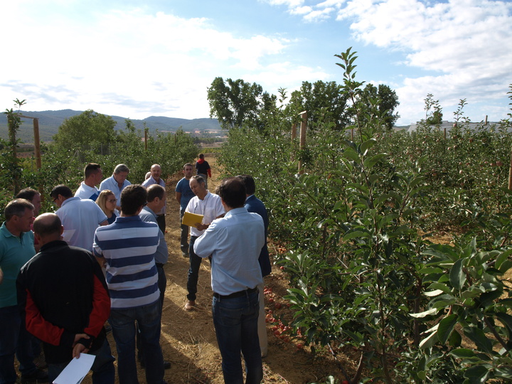Un grupo de técnicos y agricultores del Noroeste visitan la plantación de nuevas variedades de manzano