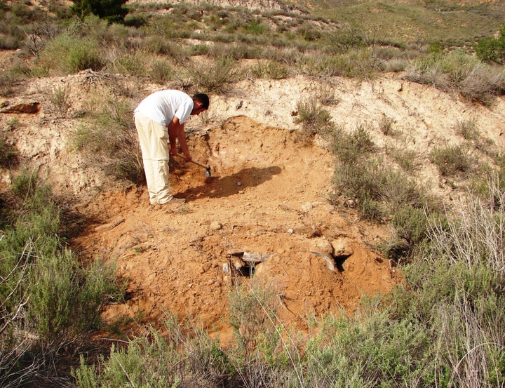 Repoblación de conejos en las Sierras de Almenara y la Carrasquilla (3)