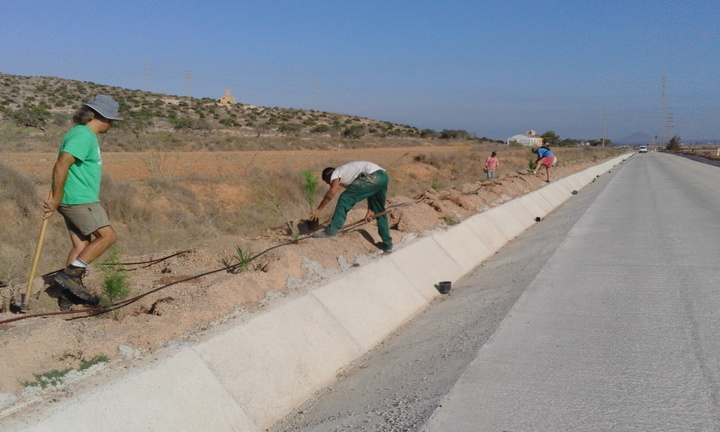 Tareas de limpieza y repoblación en Calblanque (2)