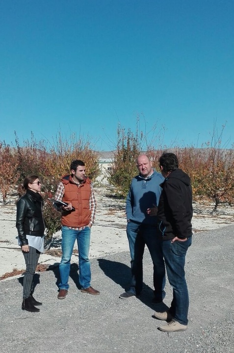 La directora general de Innovación Agroalimentaria, Juana Mulero, visita  la finca experimental de Calasparra