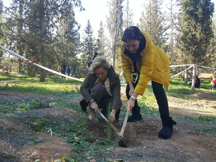 Guillén y Martínez-Cachá plantan árboles en el parque regional El Valle dentro de la iniciativa 'Bosques para la Salud'