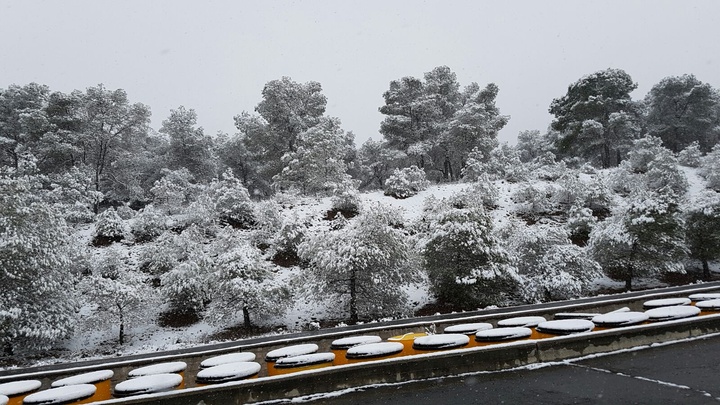 Imagen de la nevada en el Puerto de la Cadena