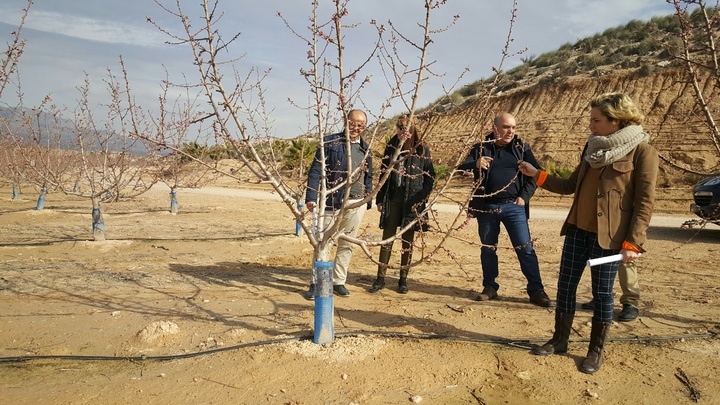 La consejera visita la Finca El Ciruelo, acompañada por los gerentes de la empresa