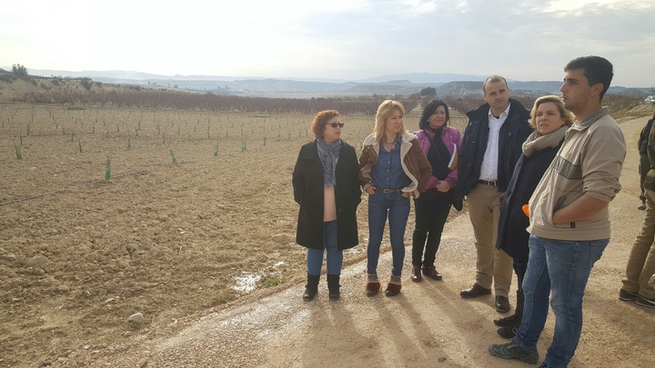 La consejera con el joven agricultor que ha recibido las ayudas, acompañados por la alcaldesa de Campos del Río