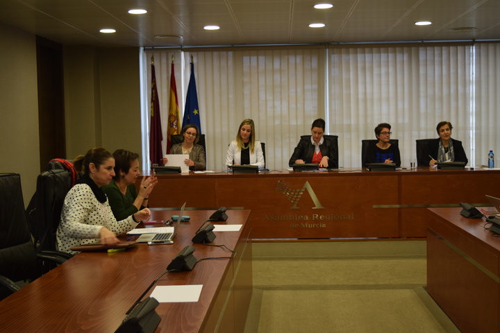 La directora general de Personas con Discapacidad y de Personas Mayores de la Consejería de Familia e Igualdad de Oportunidades, Ana Guijarro, comparece en la Comisión Especial de Discapacidad de la Asamblea Regional