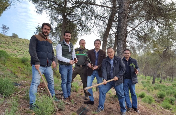 La Consejería de Cultura se suma a la plantada de árboles organizada con motivo del Festival WAM. II