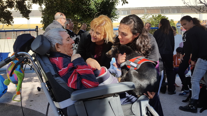 Nueva terapia con animales para las personas con discapacidad