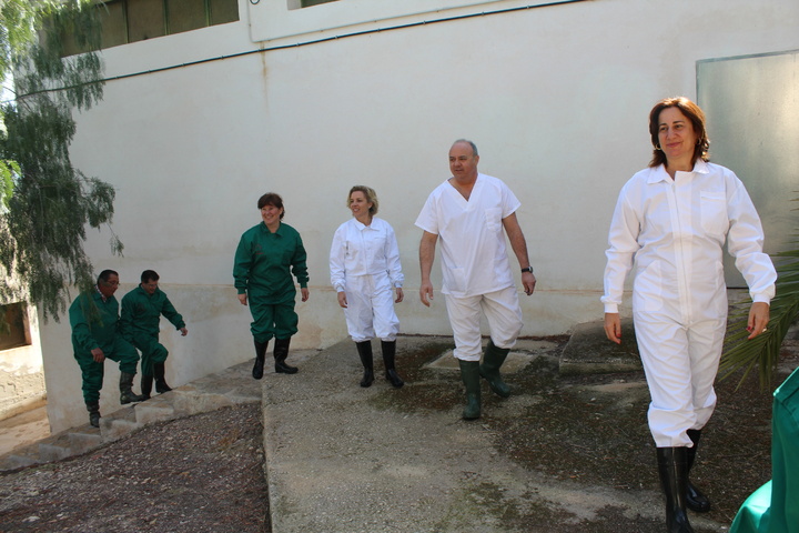 Futuro Centro de inseminación artificial de ganado porcino (1)