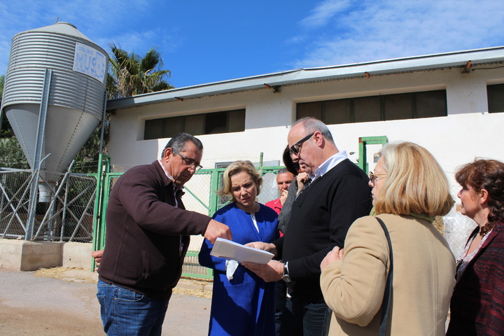 Futuro Centro de inseminación artificial de ganado porcino (4)