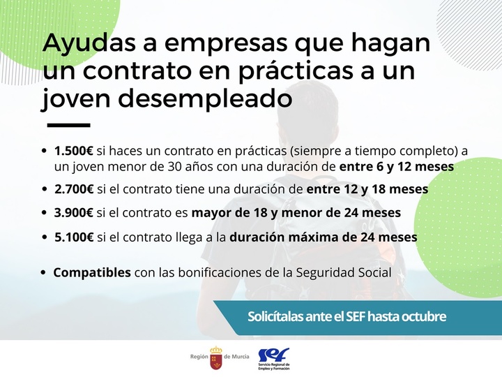 Ayudas para contratar en prácticas a jóvenes desempleados