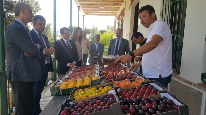 El consejero visita las instalaciones del IMIDA (Instituto Murciano de Investigación y Desarrollo Agrario y Alimentario) y conoce algunos trabajos de investigación que se llevan a cabo sobre fruta de hueso, seda o aromáticas, entre otros