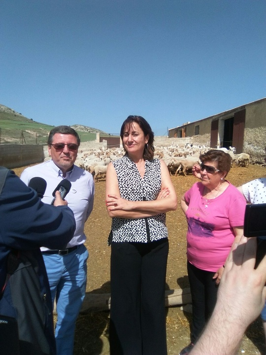 Visita a la explotación ganadera de ovino de Engracia Gil en Caravaca de la Cruz