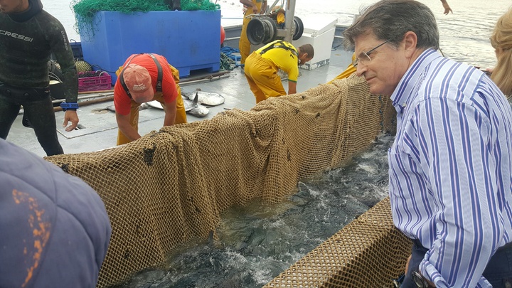 El consejero acompaña a los pescadores de La Azohía en la tradicional pesca de la almadraba, a la que ha asistido acompañado por la directora general de Pesca, la alcaldesa de Mazarrón y ediles del ayuntamiento de Cartagena