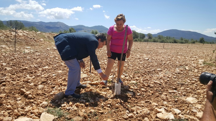 El consejero visita zonas de Lorca y Caravaca de la Cruz con cultivos afectados por el temporal de granizo (2)