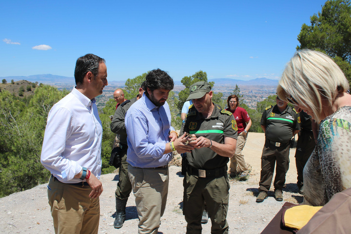 El presidente de la Comunidad suelta el mochuelo tratado en el Centro de Recuperación de fauna silvestre El Valle (3)