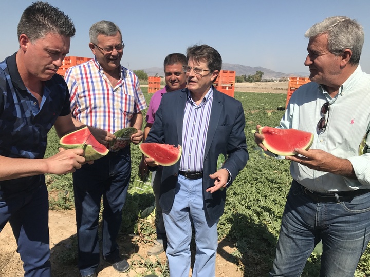 Campaña para la promoción y consumo de la sandía