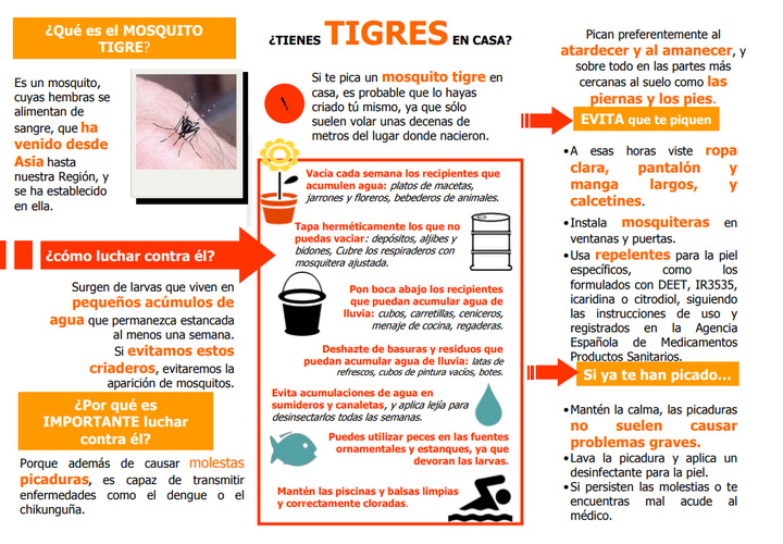Difusión de consejos para evitar la proliferación del mosquito tigre