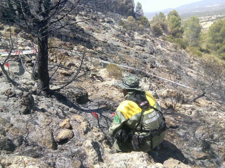 Un agente de la Brigada de Investigación de Delitos Ambientales trabajando sobre el terreno