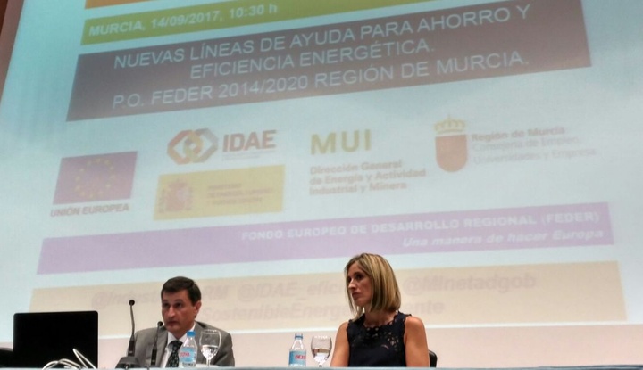 La directora general de Energía y Actividad Industrial y Minera, Esther Marín, junto al director de Ahorro y Eficiencia Energética del IDAE, Pedro Prieto, presentando las ayudas