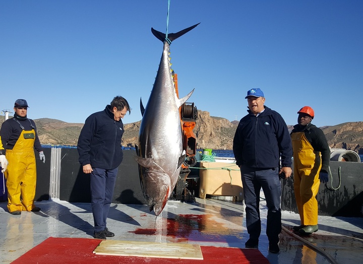 El consejero de Agua, Agricultura, Ganadería y Pesca visita la granja de atunes en el Gorguel de Cartagena