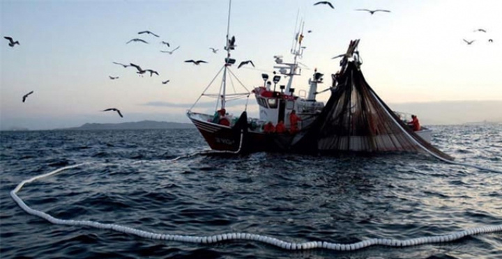 Pesca de cerco