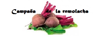 Campaña remolacha