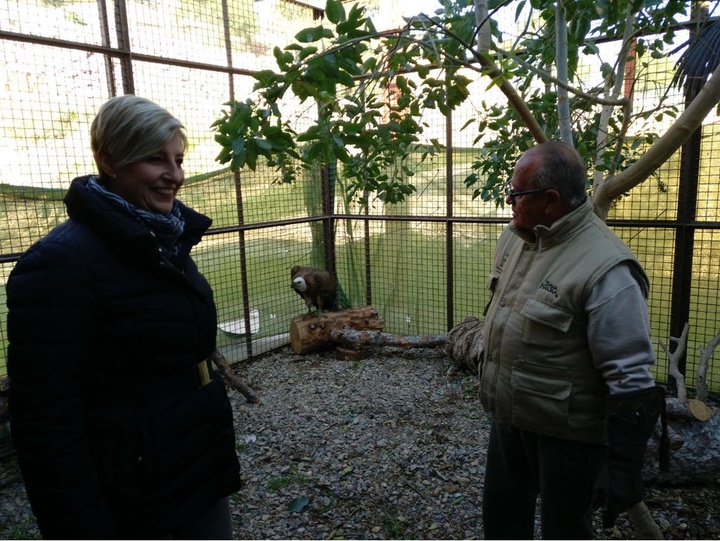 Imágenes de la cesión a Terra Natura de cuatro buitres leonados tratados en el Centro de Recuperación de Fauna Silvestre de El Valle (II)