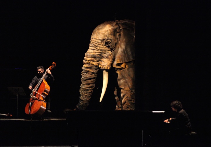 Imagen del espectáculo 'Soñando el carnaval de los animales'