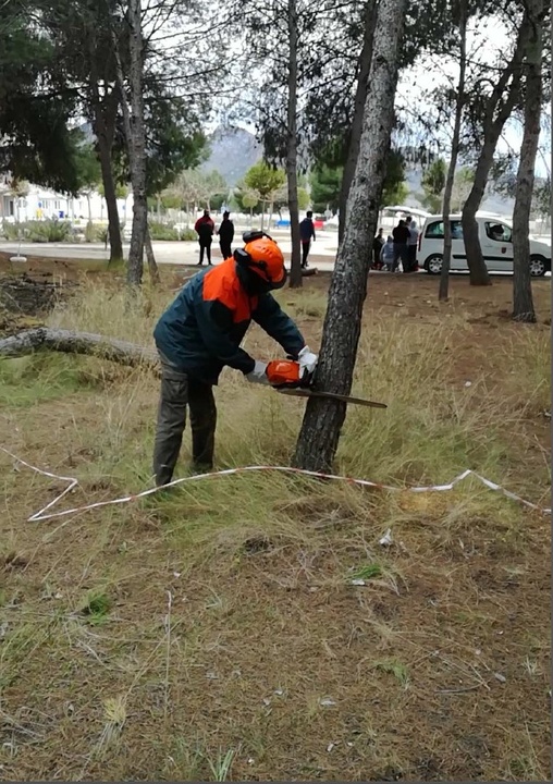 El Cifea de Jumilla imparte un curso para profesionales del sector agrario, forestal y de jardinería