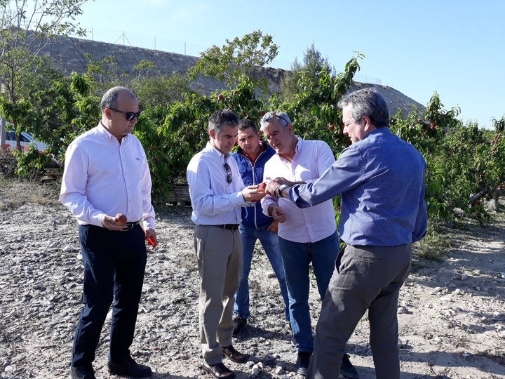 Visita a zonas afectadas por el episodio de granizo ocurrido en la tarde del viernes (3)