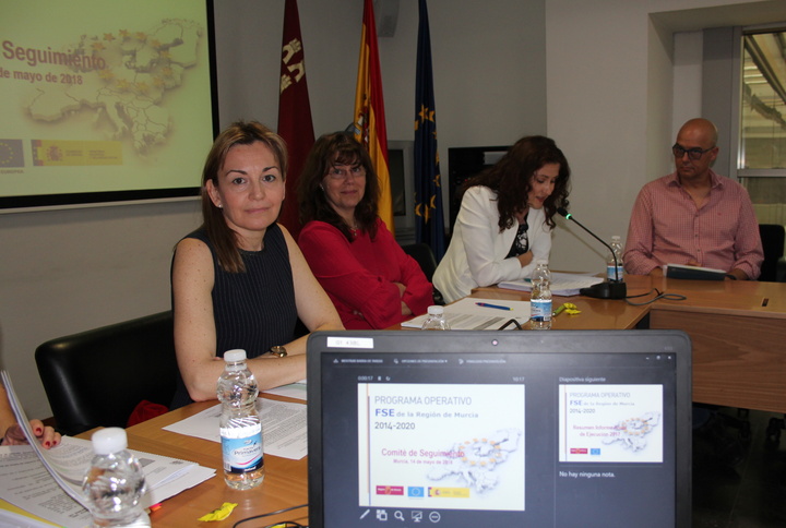 Reunión del comité de seguimiento del Programa Operativo del Fondo Social Europeo_2