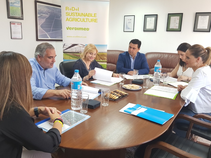 La consejera de Familia e Igualdad de Oportunidades, Violante Tomás, visitó hoy la empresa Verdimed