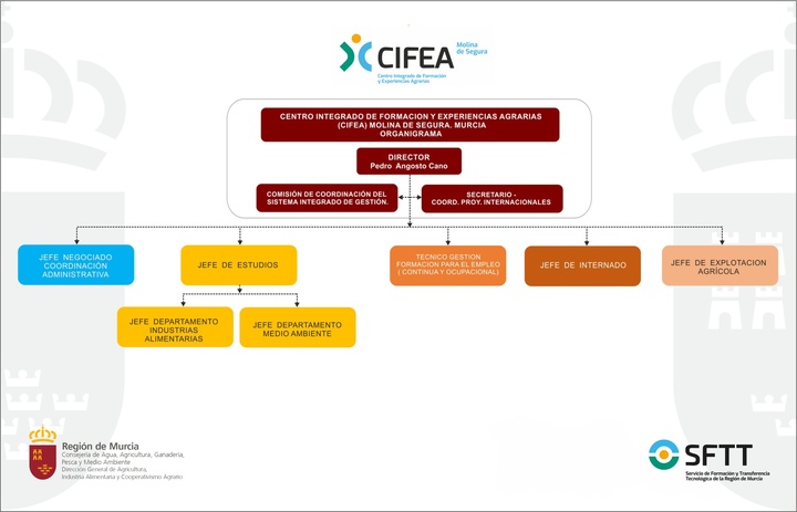 rganigrama Centro Integrado de Formación y Experiencias Agrarias Molina de Segura