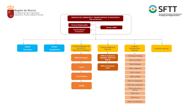 Organigrama Servicio de Formación y Transferencia Tecnológica