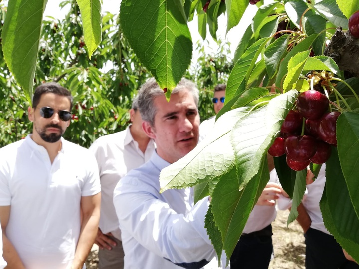 Visita a una finca de producción de cereza (2)