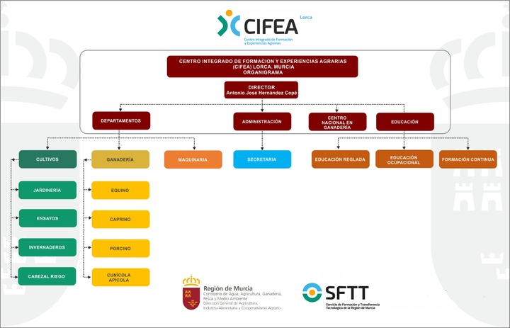 Organigrama Centro Integrado de Formación y Experiencias Agrarias de Lorca