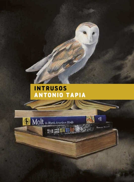 Portada del catálogo de la exposición 'Intrusos', enmarcada en el Plan de Espacios Expositivos