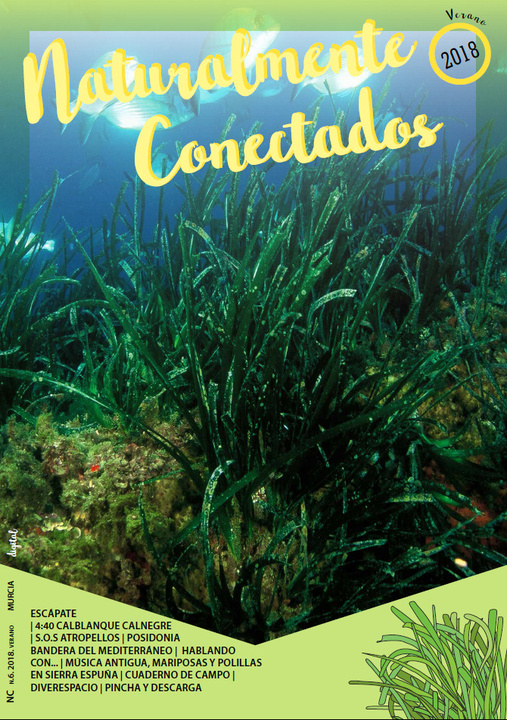 Portada de la revista gratuita 'Naturalmente conectados'