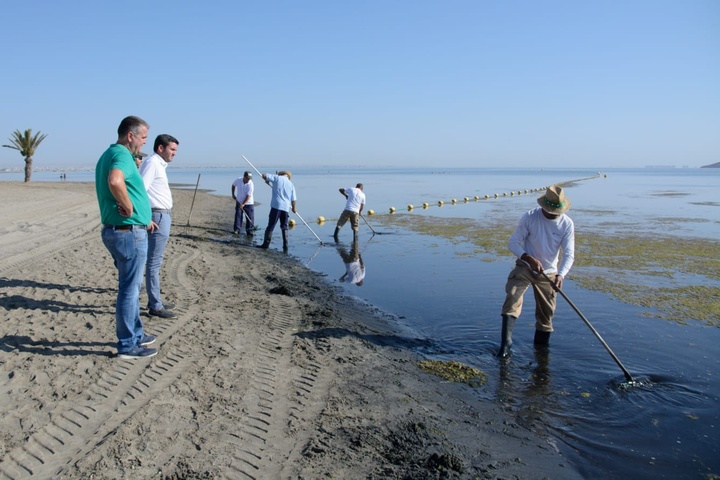 Imagen de las tareas de retirada de la ova de la superficie del agua en el entorno del club náutico de Los Urrutias