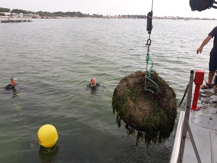 Imágenes de la retirada de 'muertos' para el amarre ilegal de embarcaciones en el Mar Menor (II)